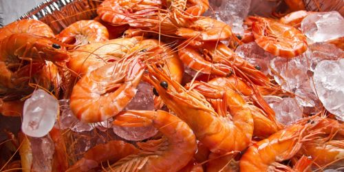 prawns-2371440_1920